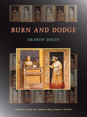 cover image of Burn and Dodge